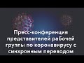 Прямая трансляция пресс-конференции рабочей группы по коронавирусу (14 апреля)