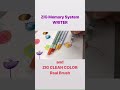 ZIG Memory System WRITER and ZIG CLEAN COLOR Real Brush
