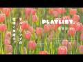 【Playlist】春ソング🌸優しい音色の洋楽集 | Cozy | Chill | 作業用BGM