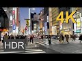 ?4K HDR?Walk in Tokyo Ginza (????) 2021-01