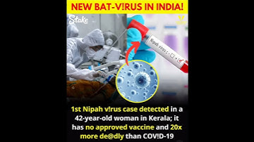New bat virus in India #nipahvirus #india #kerala #bats #virus