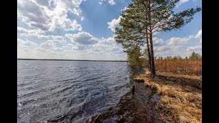 Оленье озеро, Владимирская обл. Мещерские болота.