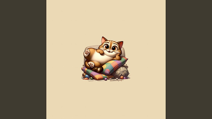 Lazy Cat Song