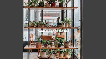 Dashing Ambience for Brave Keynotes