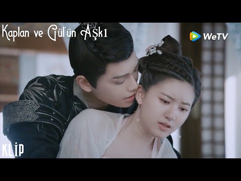 Kaplan ve Gül'ün Aşkı 19 | Han Shao, Qianqian ile zorla birlikte olmak istedi. Qianqian ağladı 💔😲😥
