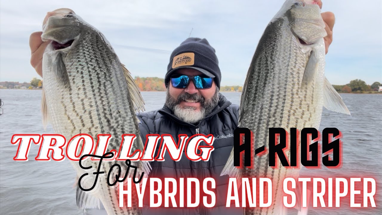Q&A: Trolling Lures for Freshwater Lake Striper and Hybrid Bass