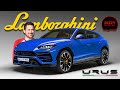 Lamborghini urus  suv  