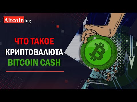 Что такое криптовалюта Bitcoin Cash 2023