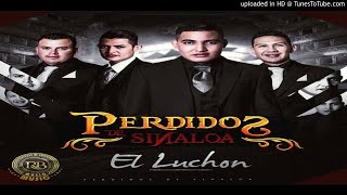 Video thumbnail of "Mi Única Ilusión - Perdidos De Sinaloa  (2016)"