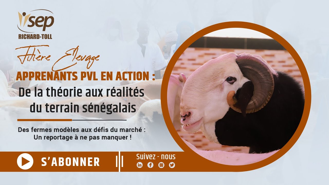 Les apprenants de PVL de l'ISEP-RT découvrent la filière élevage lors d'une mission terrain