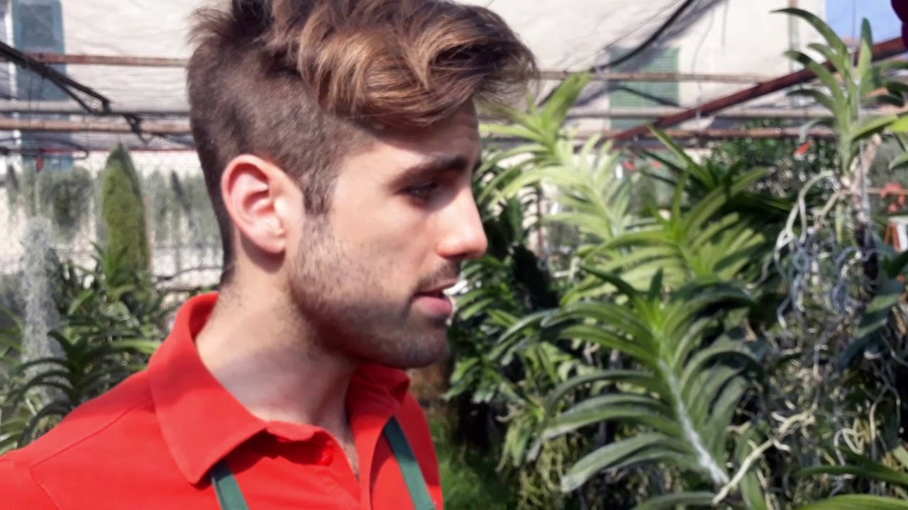 Orchidee: ecco il 