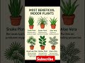 Most Beneficial Indoor Plants #shorts #trending #learnadaybyisha