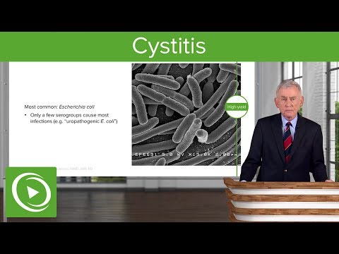 Cystitis: Definition, Causes and Epidemiology  – Infectious Diseases | Lecturio