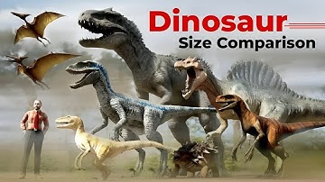 Dinosaur Size Comparison | 3d AnimationComparison | Real Scale Comparison (60FPS)