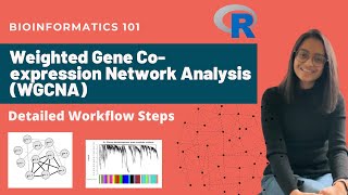 Weighted Gene Co-expression Network Analysis (WGCNA) Detailed Workflow Steps | Bioinformatics 101 screenshot 2