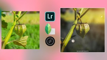 How I Edit Macro Photos || My Secret || Lightroom || Snapseed || Lens Distortion
