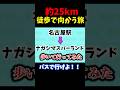 【徒歩検証】名古屋駅からナガシマスパーランドまで歩いて行ってみた【ゆっくり実況】 #徒歩旅 #徒歩検証 #ゆっくり実況