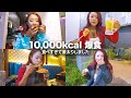 【爆食】減量明けに半日で1万キロカロリー爆食いしたら激太りしました【ダイエット】