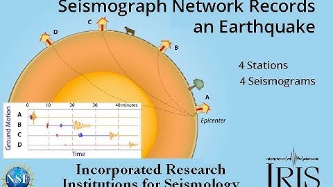 4-Station Seismograph Network Records Earthquake (Educational)