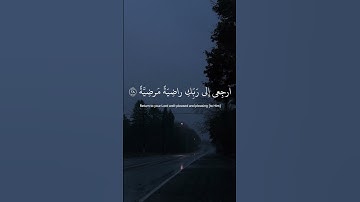 القرآن الكريم | { يقول يا ليتني قدمت لحياتي } | القارئ رعد الكردي 🤍🍃