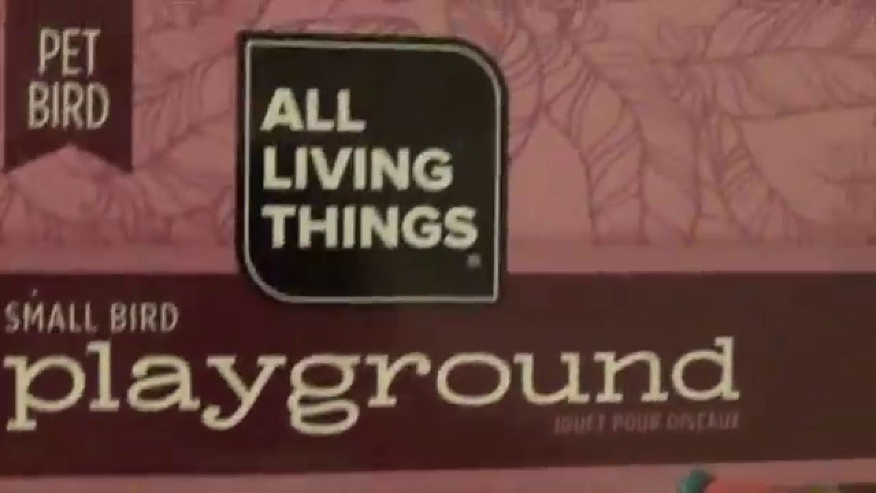 petsmart-rat-mice-and-hamster-hall-youtube