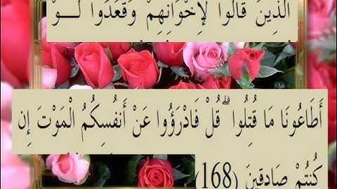 القران الكريم سورة آل عمران الأية 168