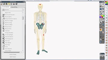 Activ Inspire: Creating Action Objects - Bring to the Front
