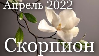 Прогноз на Апрель 2022 года  для представителей знака зодиака Скорпион