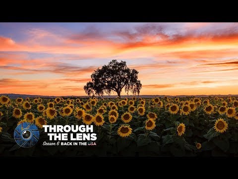 Through The Lens | S06E03 - @Kathryn_Dyer
