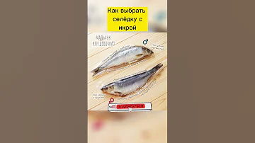 Как выбрать селёдку с икрой? #shorts #short #селедка