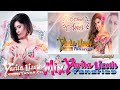 ♫♥☆ YARITA LIZETH YANARICO - MIX YARITA LIZETH / CORTA VENAS (Huayno Sureño) ☆♥♫