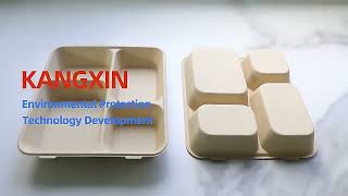 Disposable Bamboo Pulp Food Packaging Biodegradable 4 Compartment Fast Food Serving Trays