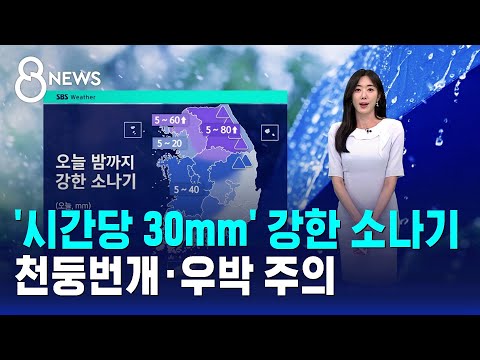 [날씨] '시간당 30mm' 강한 소나기..천둥번개·우박 주의 / SBS 8뉴스