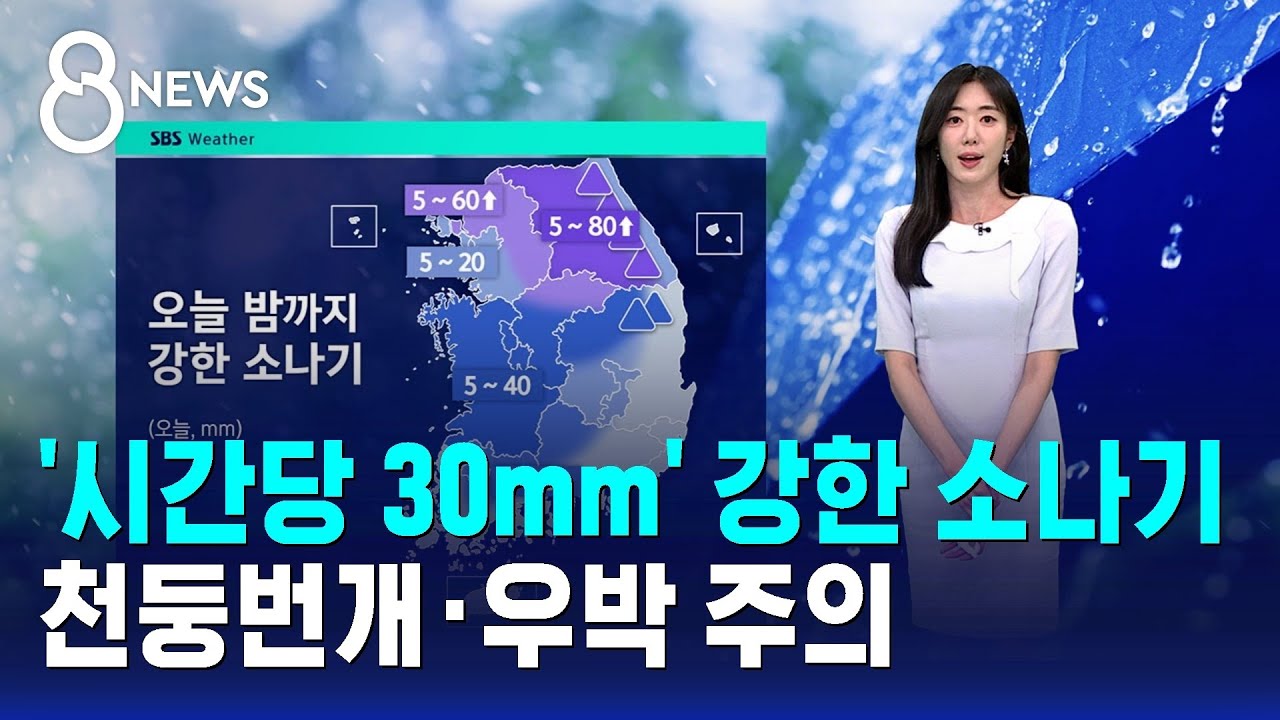 [날씨] '시간당 30mm' 강한 소나기..천둥번개·우박 주의 / SBS 8뉴스