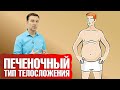 Типы телосложения: Печеночный тип фигуры 📣