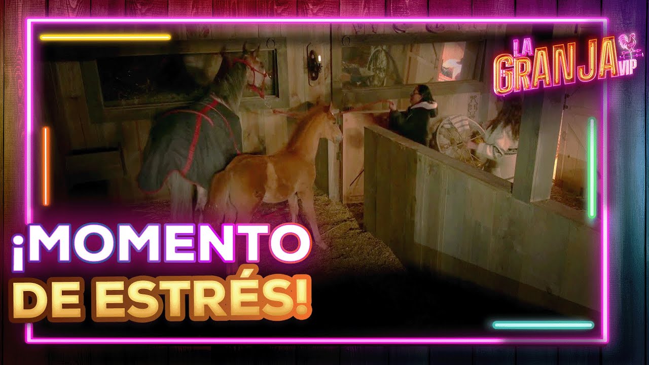 ¡Se les escapó Hidalgo! Y Lolita Cortés junto a Fabiola, pasaron un buen susto en el establo.