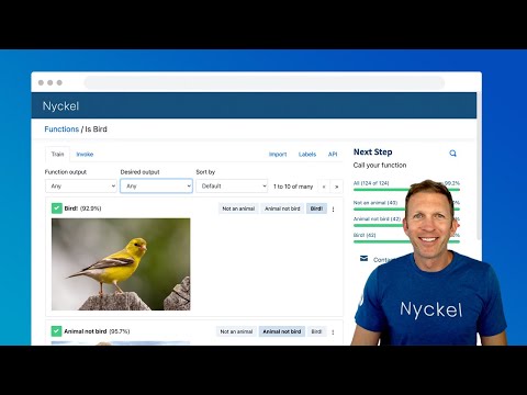 Machine Learning with Nyckel in 60 Seconds