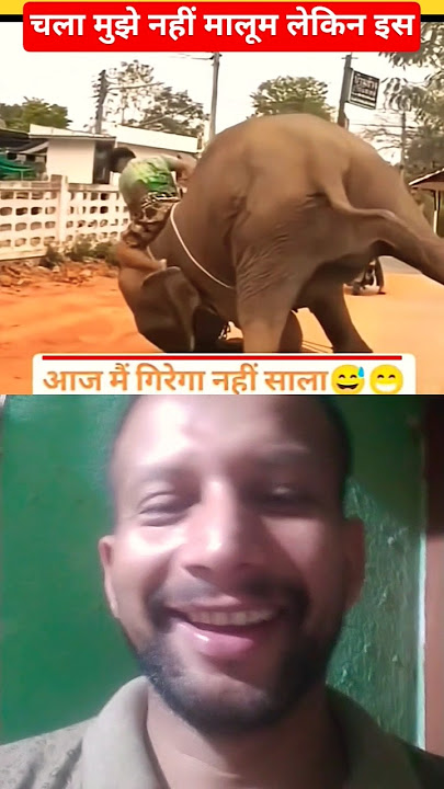 This time not work possible #elephant