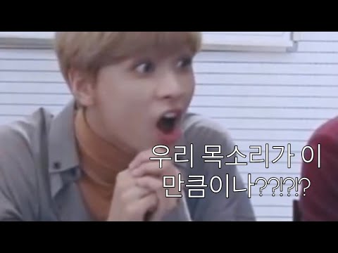 [NCT DREAM] 츄잉껌으로 보는 7드림의 변성기