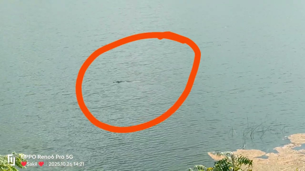 🐊🐊AP TIDCO HOUSES Kondamodu Near by Dumping Yard /side Vashi dekha chachi kumir fukre🐊🐊🐊🐊