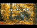 Best 3 Hours of Relaxation Music | Instrumental | Positive Energy | Alpha Waves | Study Music
