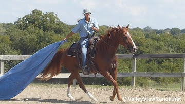 RW Sandy - dragging the tarp! - ValleyViewRanch.net