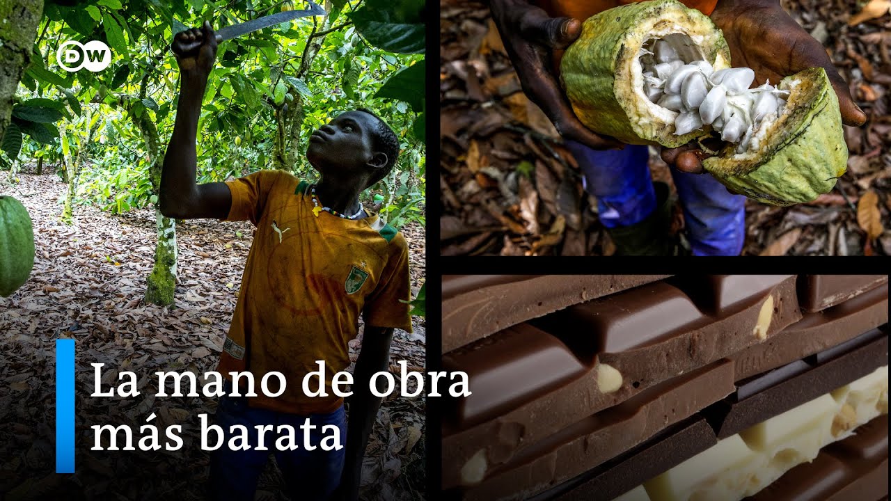 Explotación infantil en la industria del chocolate - YouTube