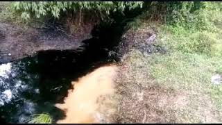 Escurrimientos de hidrocarburo en arroyo Totolapa