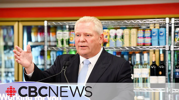 Why Doug Ford's booze sales plan could cost Ontario taxpayers far more than $225M - DayDayNews