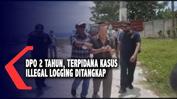 DPO 2 Tahun, Terpidana Kasus Ilegal Logging Ditangkap