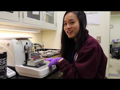 Postbac Life: Lindsey Jay Demonstrates the Microtome