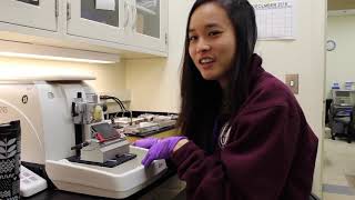 Postbac Life: Lindsey Jay Demonstrates the Microtome