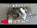 100均のダイソー&セリアで猫用おもちゃ買ってきた