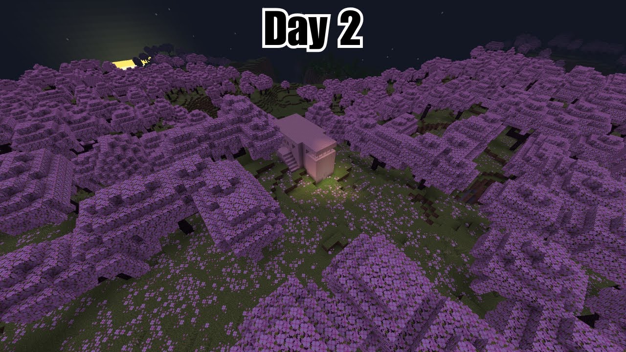 Mining One Block In Minecraft Until I Find Diamonds || Day 2 - YouTube
